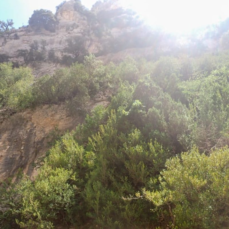 Barranco Barrasil