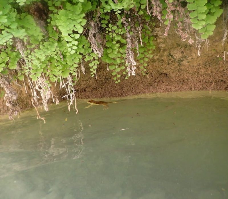 Barranco Fornocal